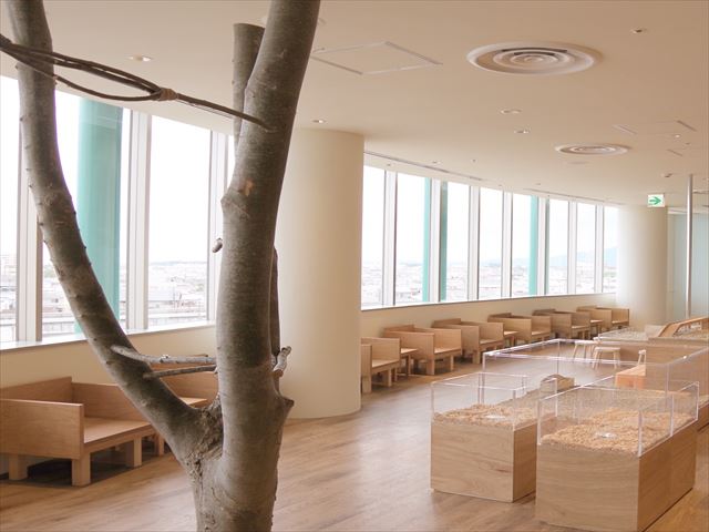 Moff animal cafe 小田原ダイナシティ店-5