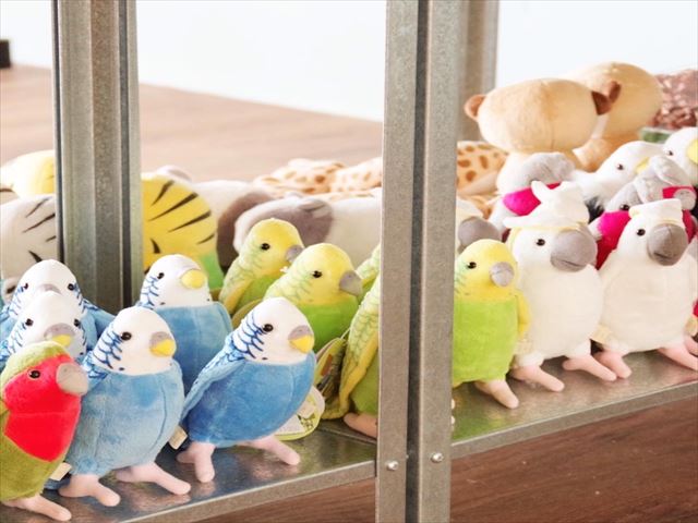 Moff animal cafe 小田原ダイナシティ店-3