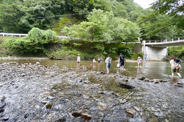 稲積水中鍾乳洞　入場クーポン-12