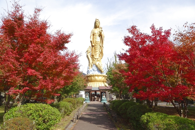 稲積水中鍾乳洞　入場クーポン-11