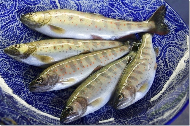 【最大100円割引】野迫川温泉 前売り入浴チケット（入浴）-11