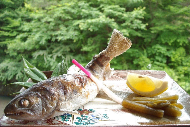 【400円割引】野迫川温泉 クーポン（入浴＋貸バスタオル＋タオルセット＋あまご定食）-13