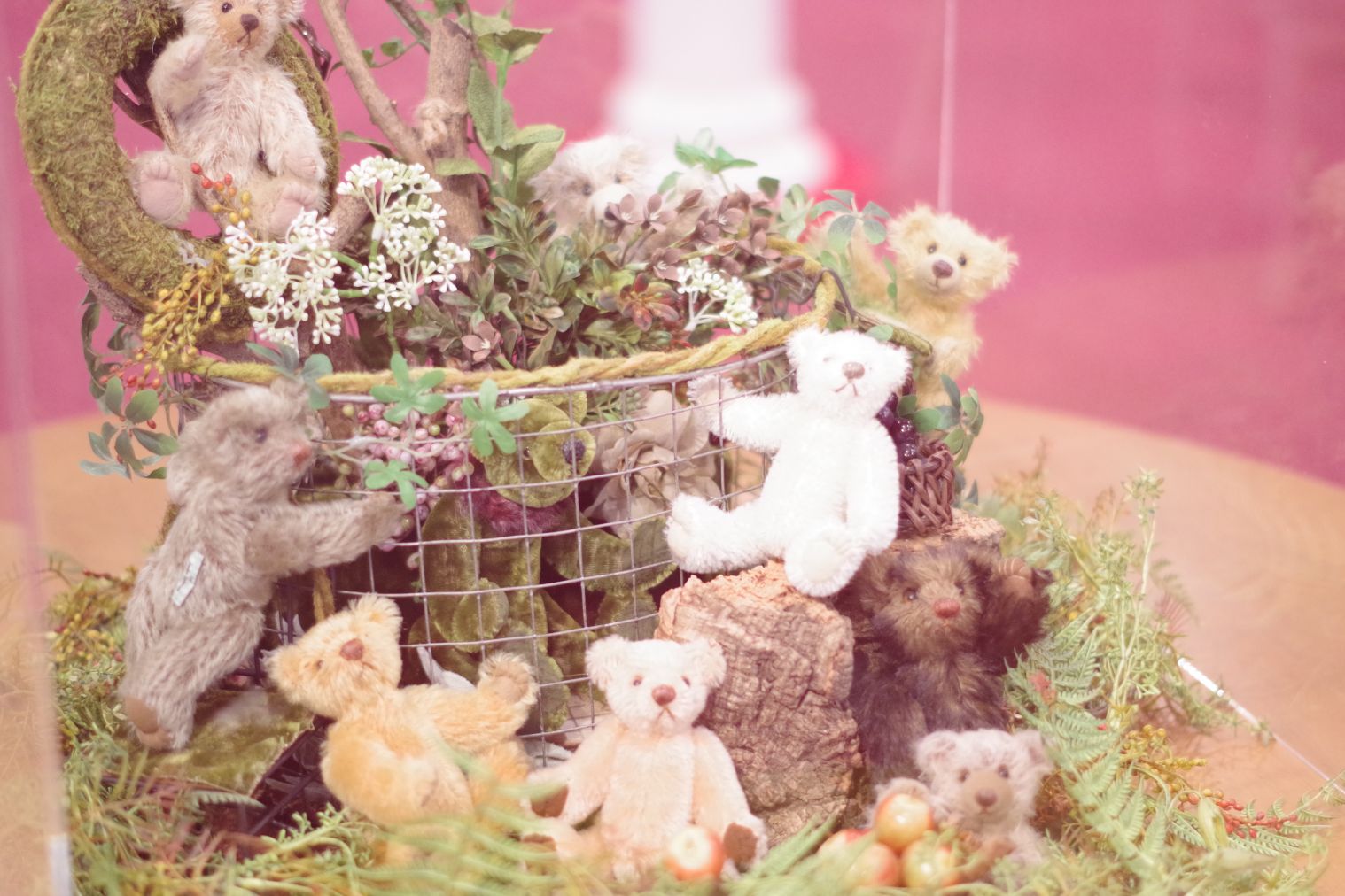 蓼科テディベア美術館　入館チケット-2