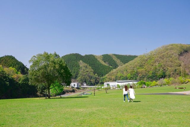 【平日限定200円割引！】ひよしプレイアリーナ1DAY PASS+VR恐竜戯画のお得なセット券-7