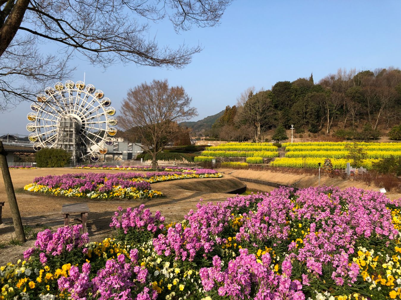【最大20%OFF】やまぐちフラワーランド　入園券-26