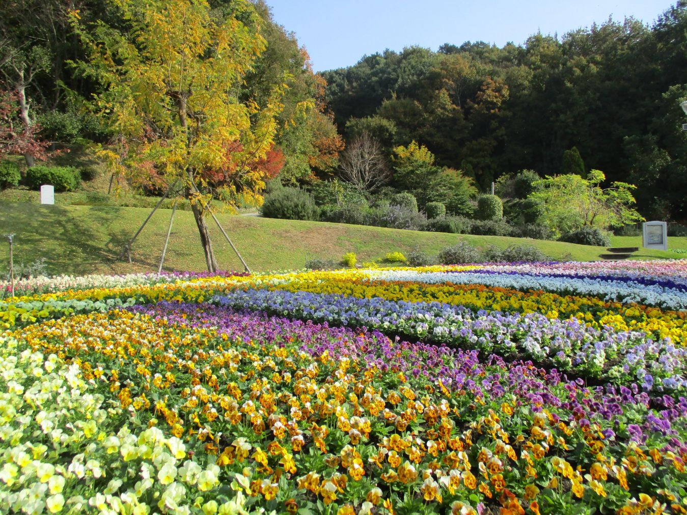 【最大20%OFF】やまぐちフラワーランド　入園券-27