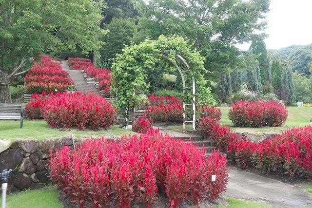 【最大20%OFF】やまぐちフラワーランド　入園券-6