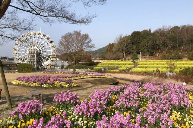 【最大20%OFF】やまぐちフラワーランド　入園券-1