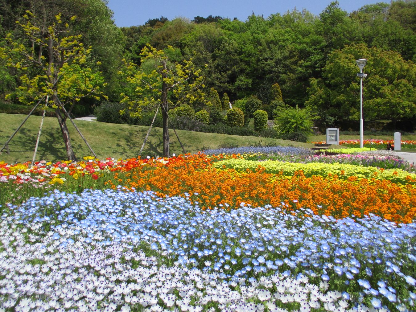 【最大20%OFF】やまぐちフラワーランド　入園券-5