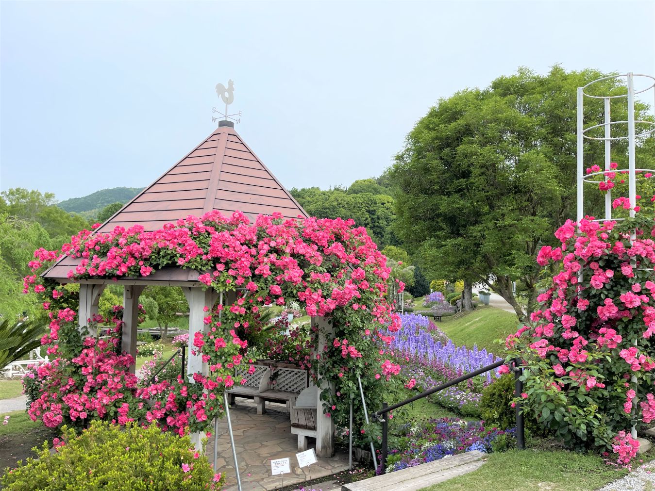 【最大20%OFF】やまぐちフラワーランド　入園券-11