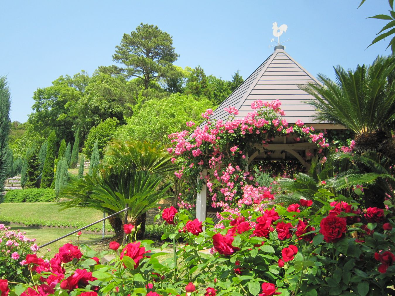 【最大20%OFF】やまぐちフラワーランド　入園券-9