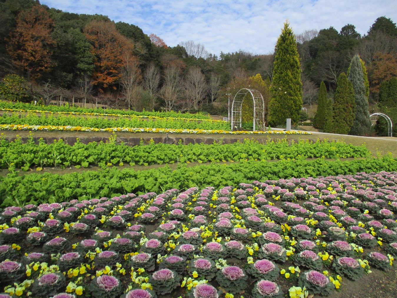 【最大20%OFF】やまぐちフラワーランド　入園券-28