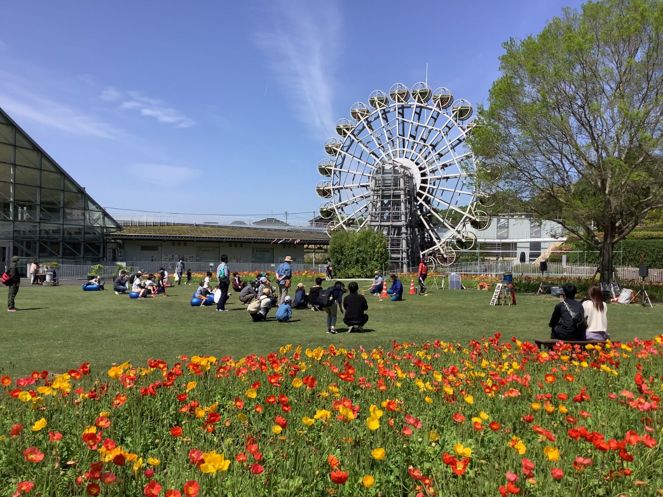 【最大20%OFF】やまぐちフラワーランド　入園券-8