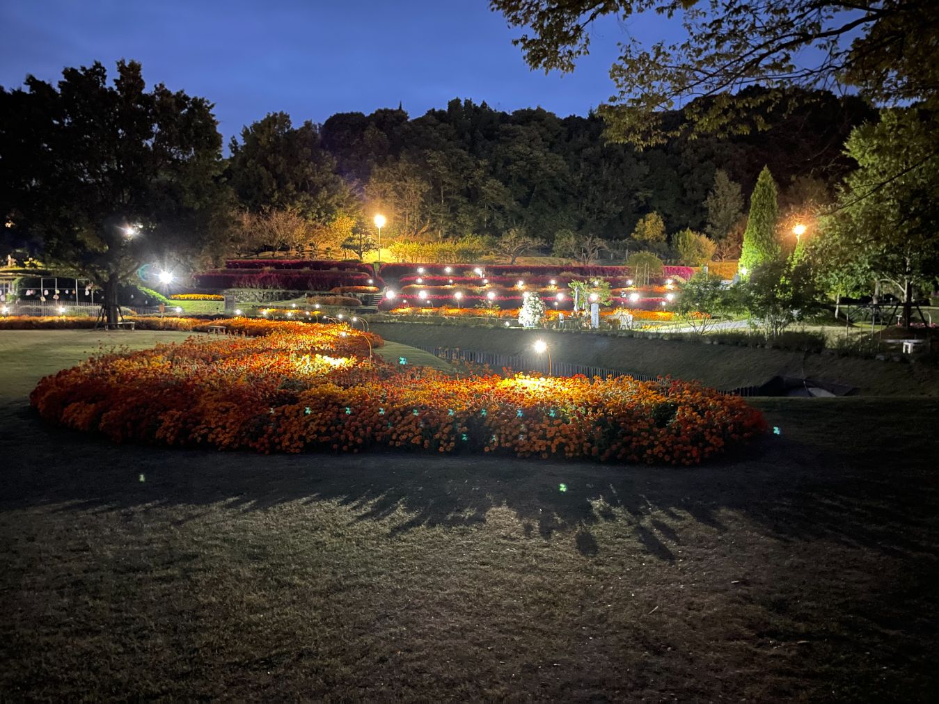 【最大20%OFF】やまぐちフラワーランド　入園券-24