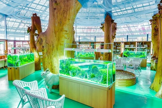 水中楽園アクアリウム-12