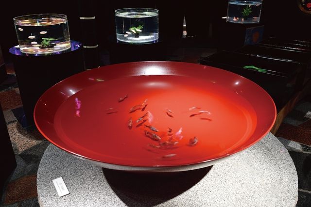 水中楽園アクアリウム-3