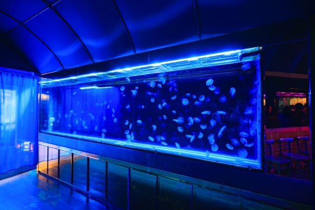 水中楽園アクアリウム-8