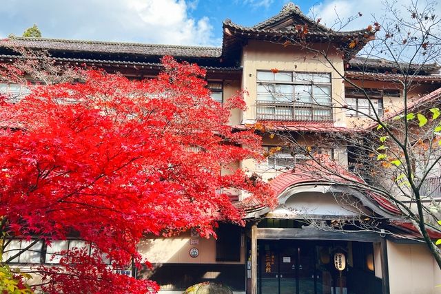 【550円割引】鉛温泉 藤三旅館　入浴料＋お食事セット-13
