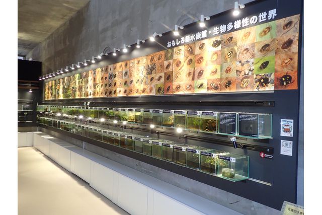 アクアマリンいなわしろカワセミ水族館　前売り電子入館チケット-1