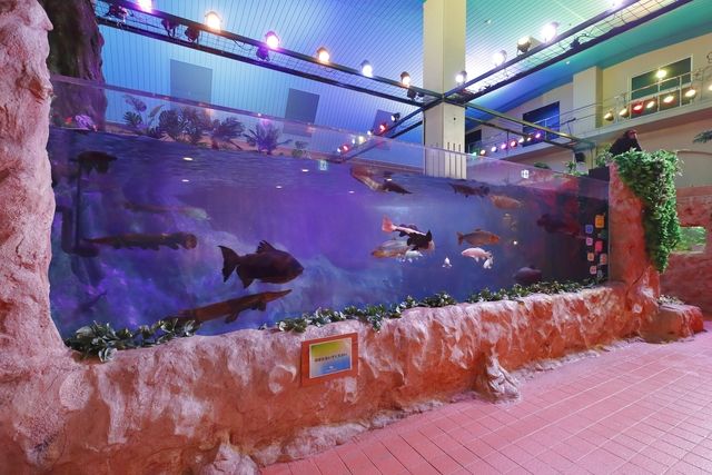 アクアテラス錦ケ丘　アクアテラス前売りWEB入館券-1