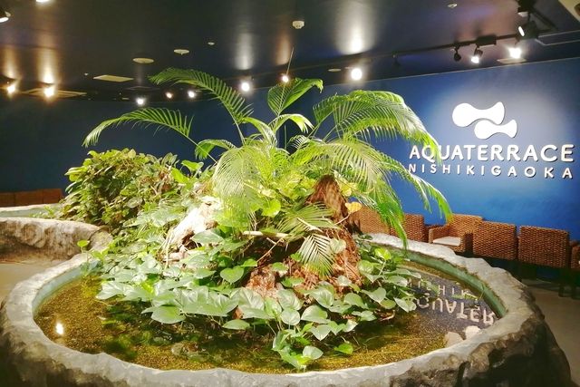 アクアテラス錦ケ丘　アクアテラス前売りWEB入館券-5