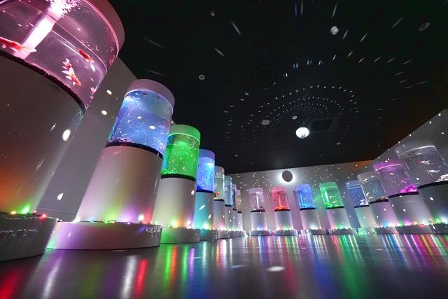 NARA KINGYO MUSEUM　入場チケット-5