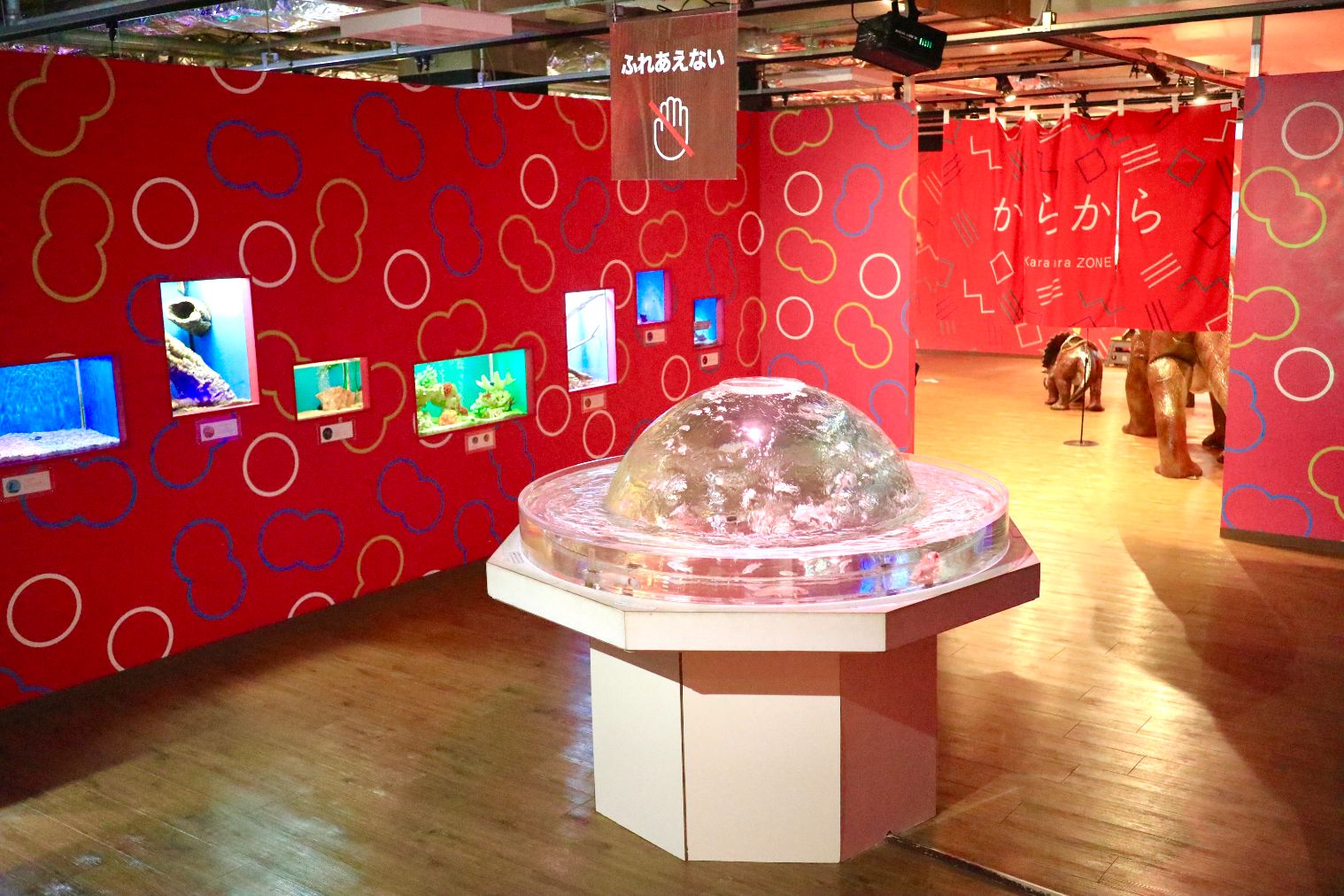 【スマホで入場OK】珍しい生き物に会える！NARA IKIMONO MUSEUM 入場券-23