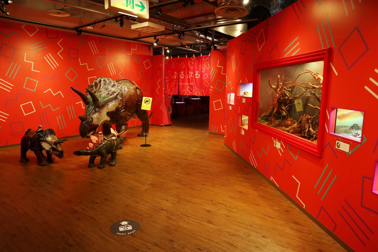 【スマホで入場OK】珍しい生き物に会える！NARA IKIMONO MUSEUM 入場券-17