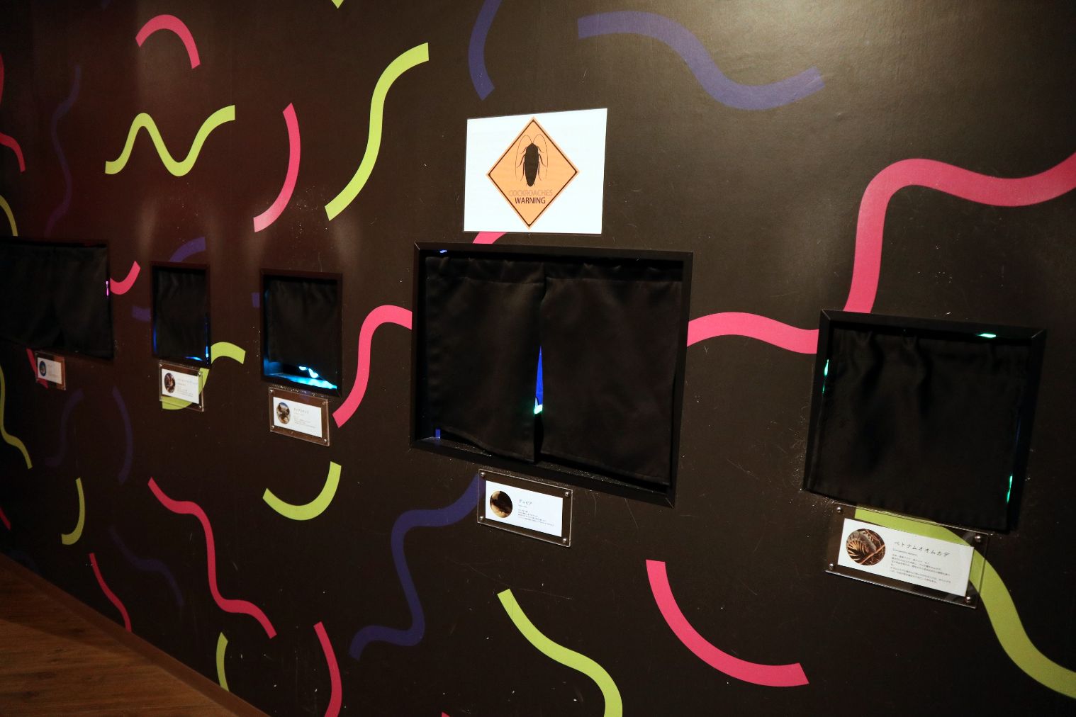 【スマホで入場OK】珍しい生き物に会える！NARA IKIMONO MUSEUM 入場券-18