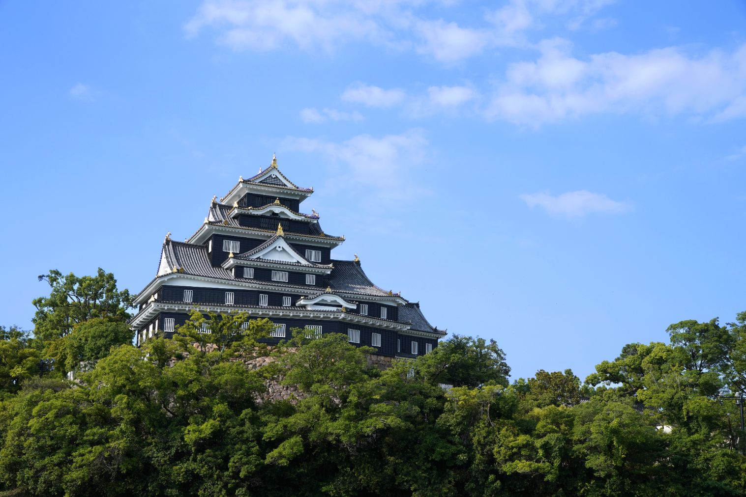 岡山城天守-4