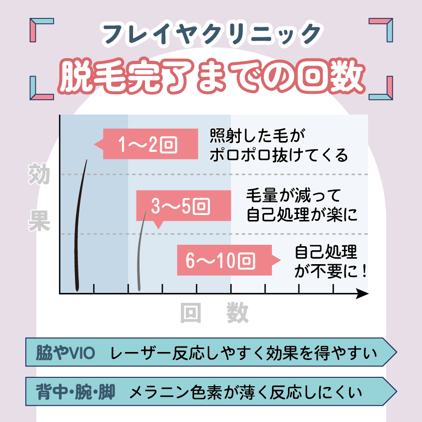 フレイアクリニックの脱毛完了までの回数【目安】