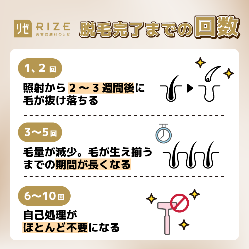 リゼクリニックの脱毛完了までの回数【目安】