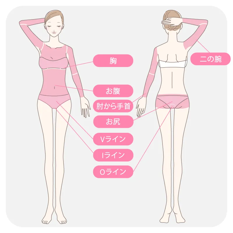 エルプラスクリニック Mパーツ(2pt)