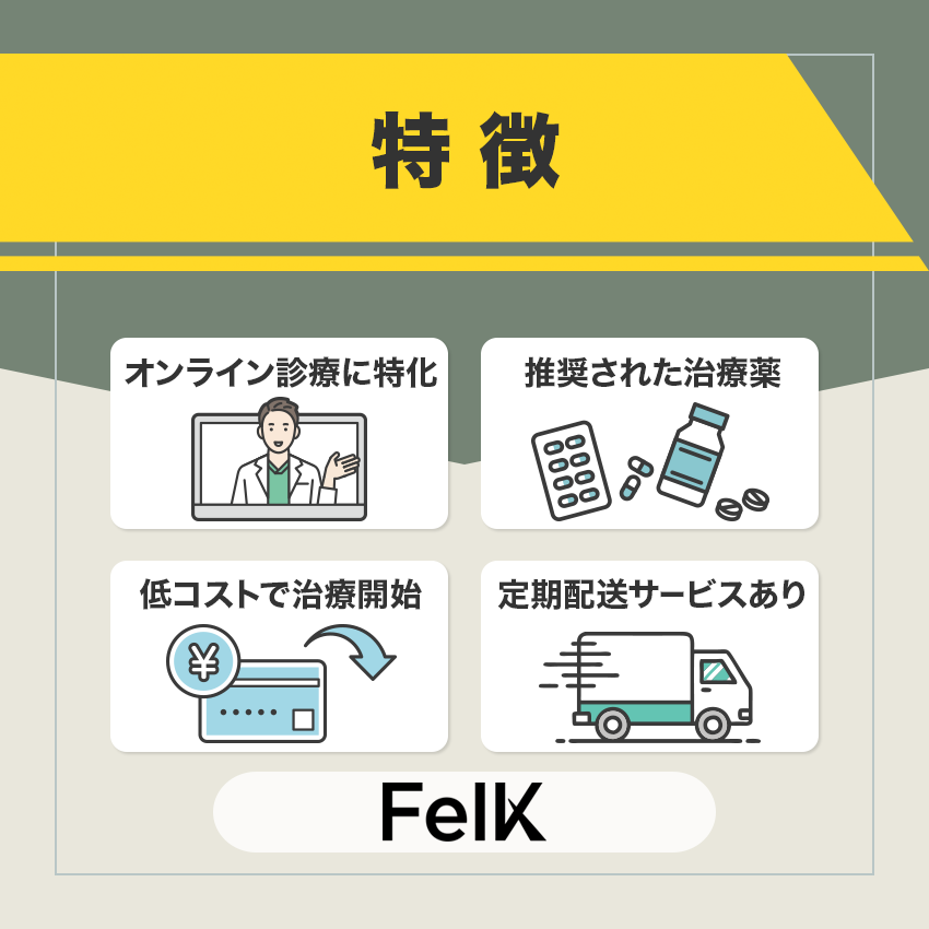 FelK（フェルケ）の特徴