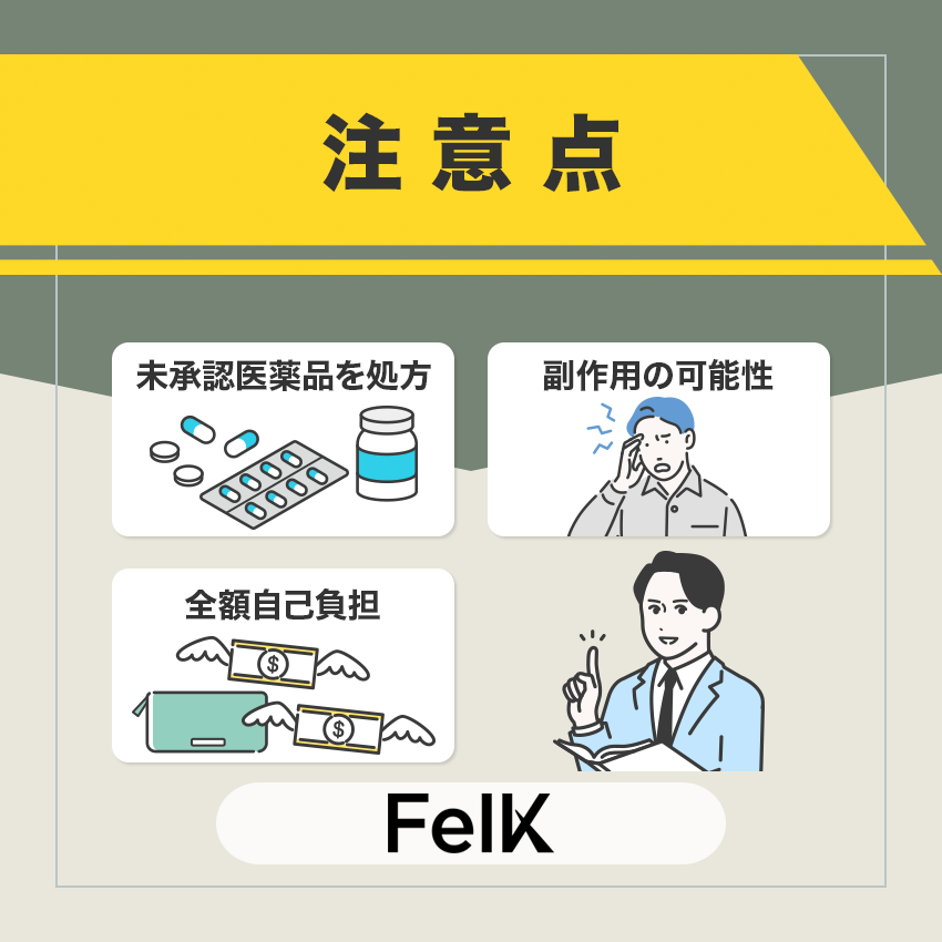 FelK（フェルケ）を利用する際の注意点