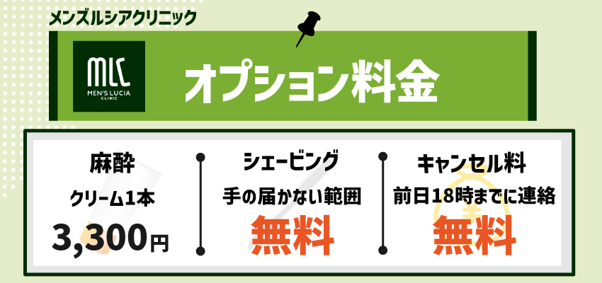 オプション料金
