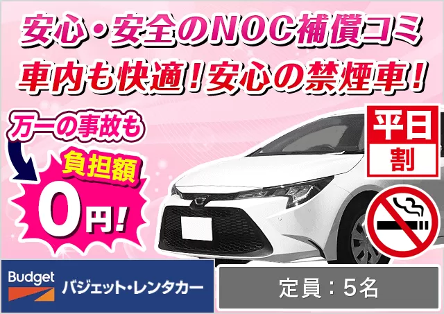 ミドル（アクシオ/カローラフィールダー/カローラツーリング 他）プランNo.14014 | バジェット・レンタカー鹿児島中央駅前店