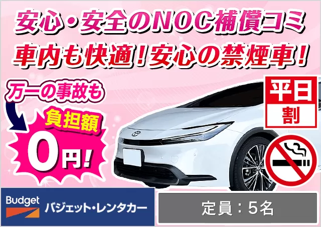 ミドル（プリウス 他）プランNo.14014 | バジェット・レンタカー鹿児島中央駅前店
