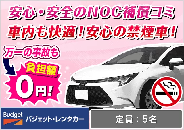 ミドル（アクシオ/カローラフィールダー/カローラツーリング 他）プランNo.10515 | バジェット・レンタカー成田空港店