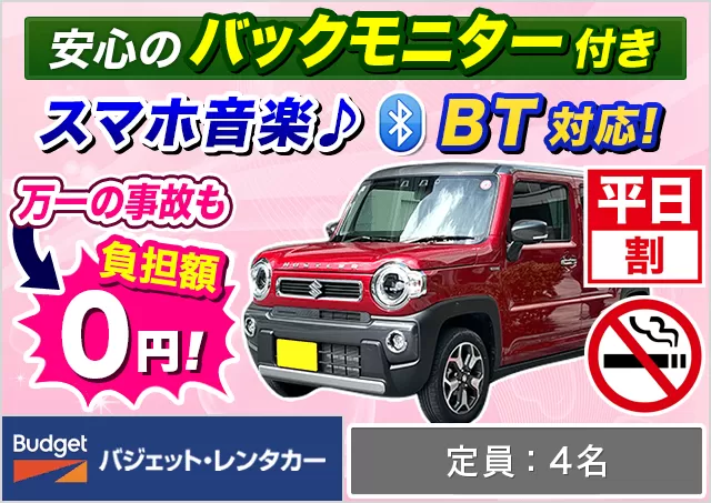 軽自動車（ムーヴ/タフト/ワゴンR/ハスラー 他）プランNo.14014 | バジェット・レンタカー鹿児島中央駅前店
