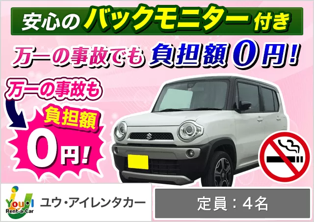軽自動車（デイズルークス/ハスラー 他）プランNo.12333 | ユウ・アイレンタカー宮古島店