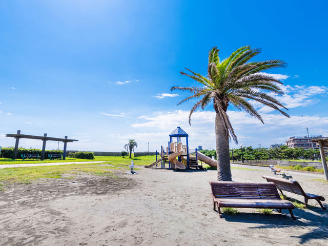 湘南海岸公園 湘南海岸公園
