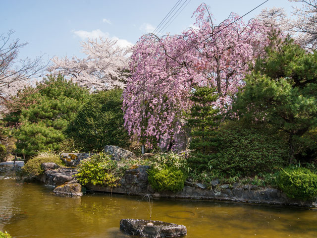 水沢公園 水沢公園