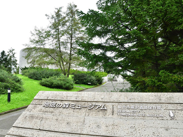 地底の森ミュージアム