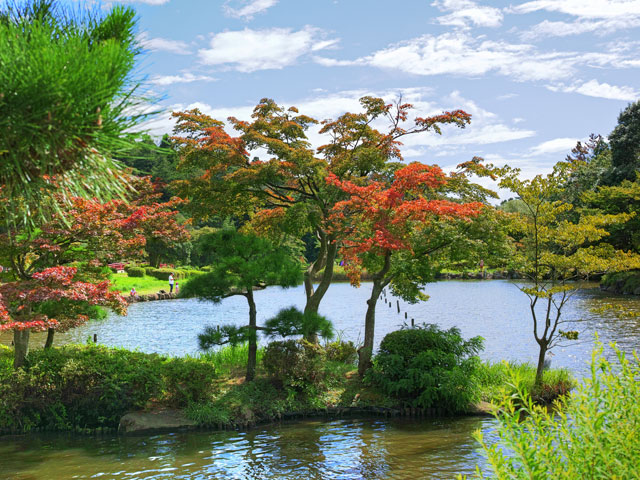 こども自然公園 こども自然公園