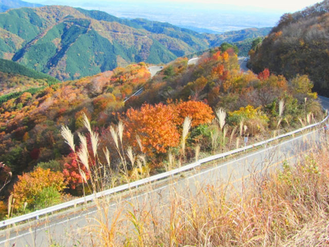 伊吹山ドライブウェイ 伊吹山ドライブウェイ