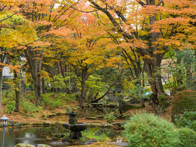 盛岡城跡公園（岩手公園）