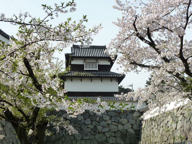 福岡城跡・大濠公園
