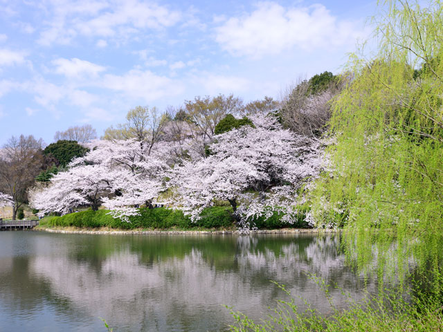 三ツ池公園