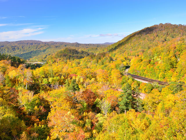 八幡平アスピーテライン
